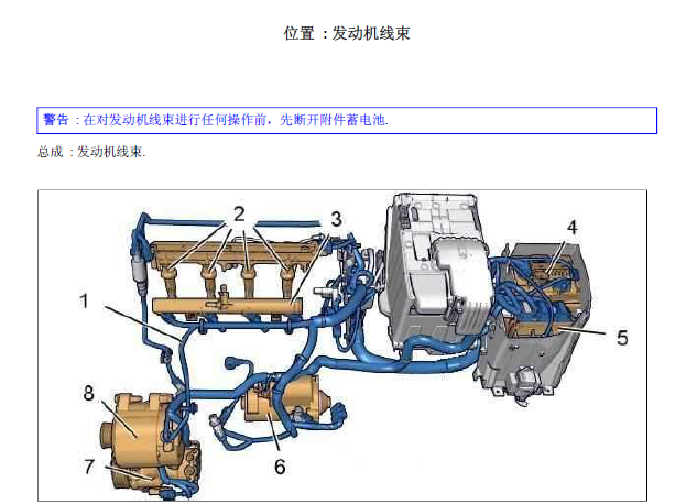 307前舱线束