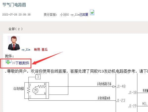 V19发动机电路图