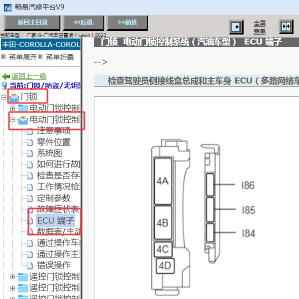 2020年丰田雷凌车身电脑针脚资料
